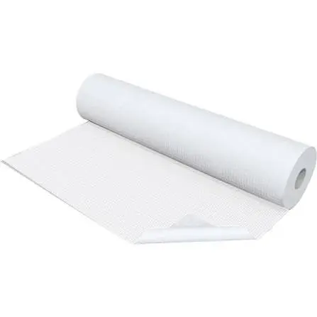 membrane