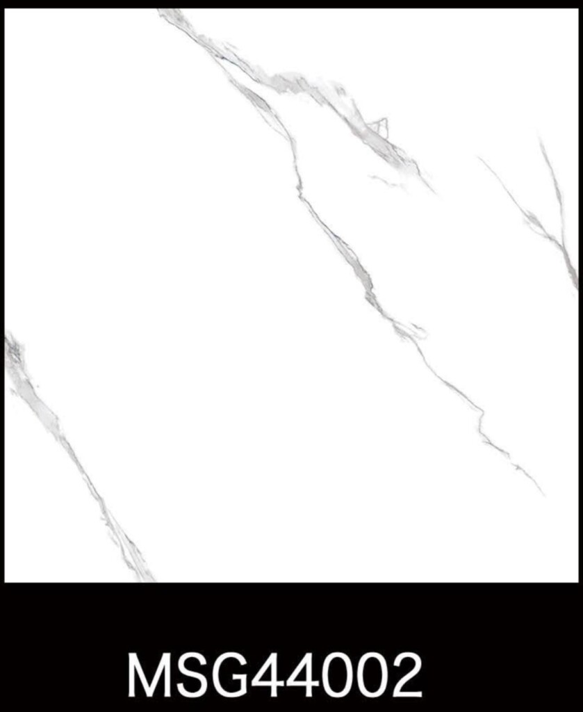 MSG44002