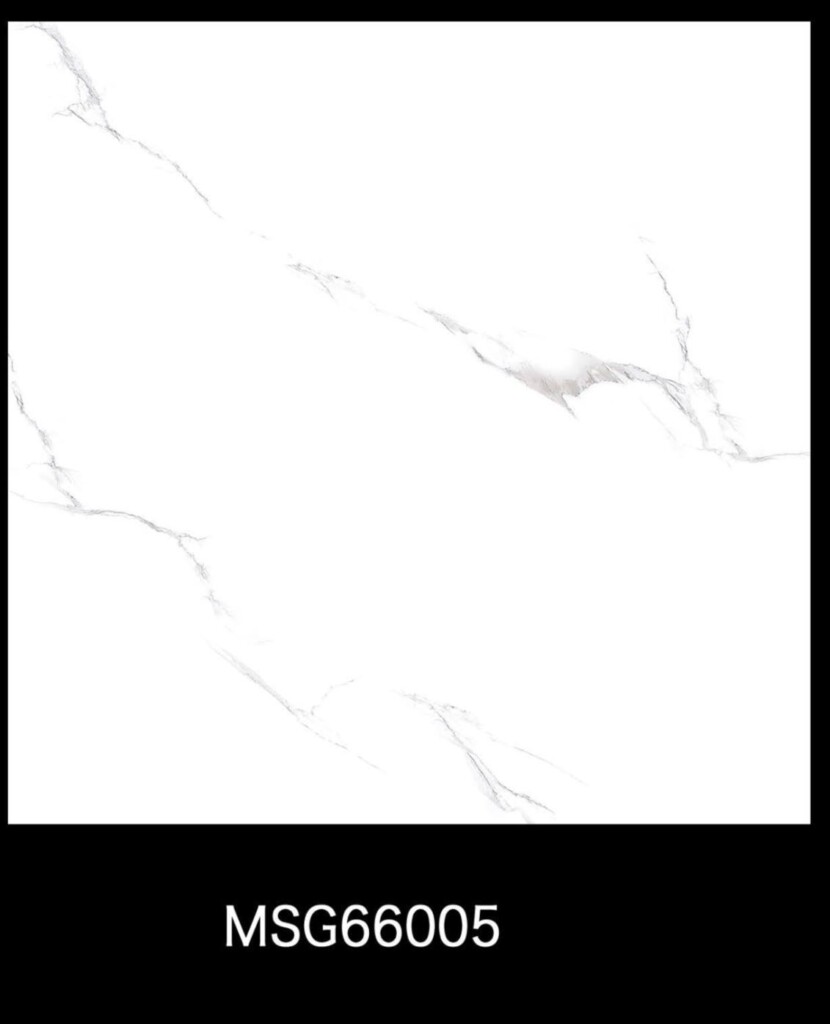 MSG66005M