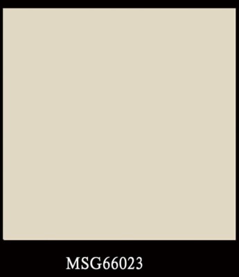 MSG66023