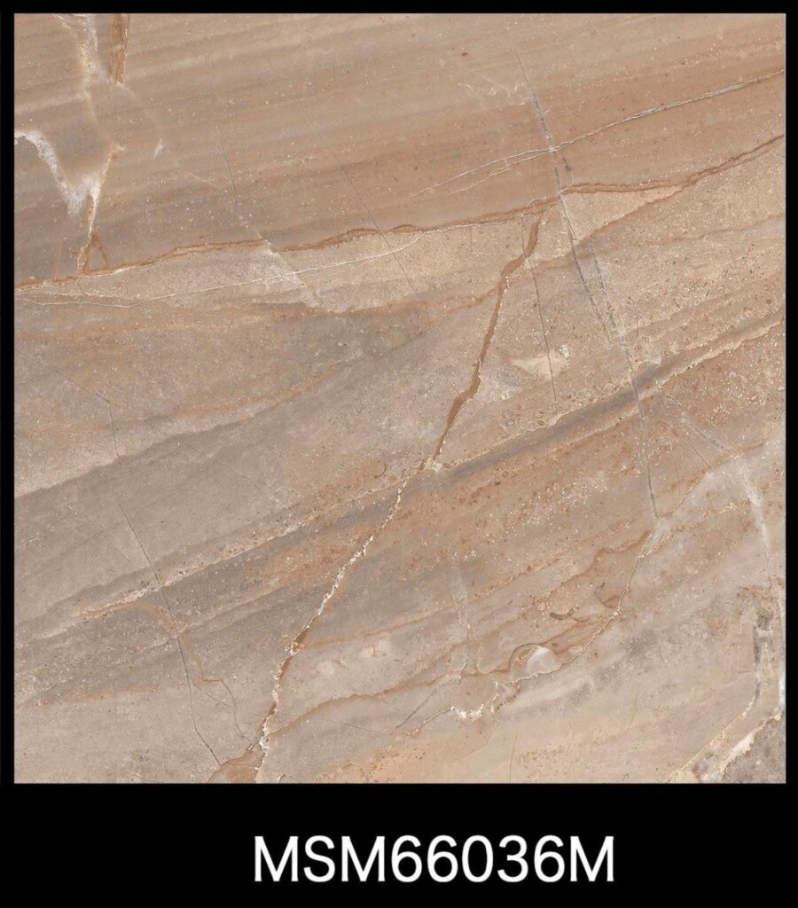 MSM66036M