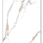 WhatsApp Image 2025 04 01 at 13.58.07 d16fe38c